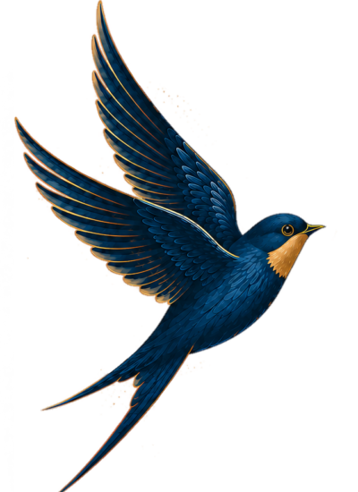 oiseau ss etoile eclairage oiseau ss etoile eclairage